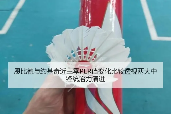 恩比德与约基奇近三季PER值变化比较透视两大中锋统治力演进