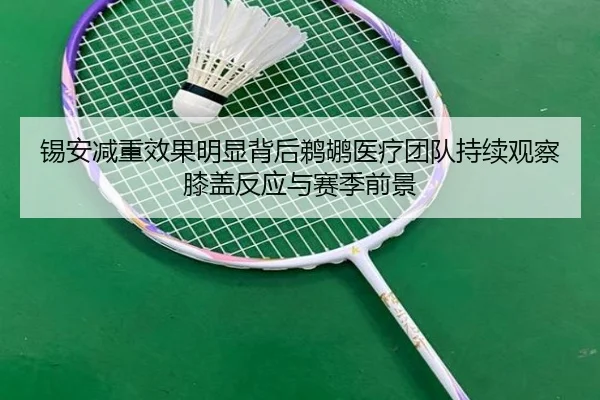锡安减重效果明显背后鹈鹕医疗团队持续观察膝盖反应与赛季前景